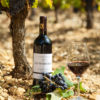 Les Boissières – Image 4