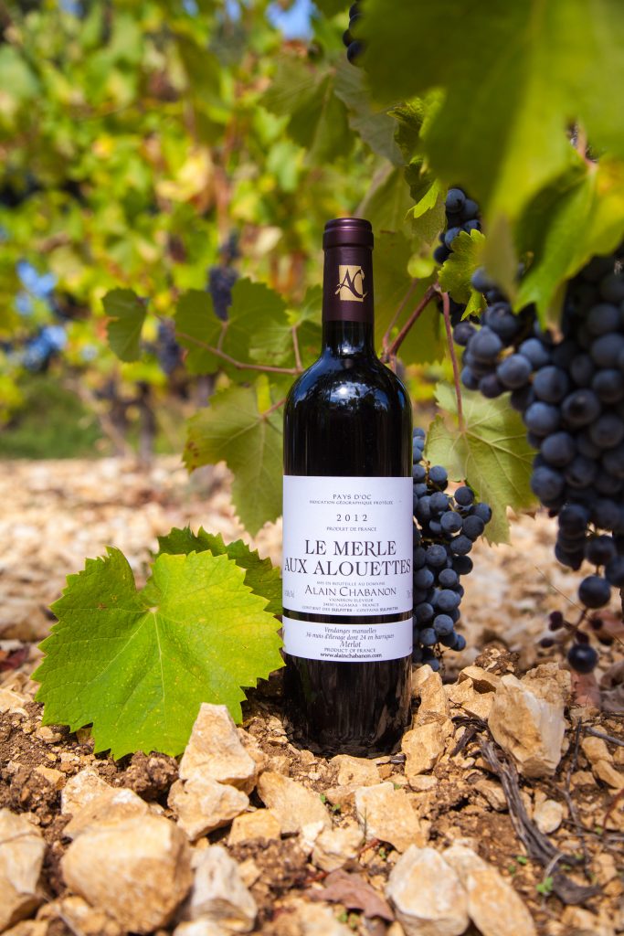 One of the great reds of the Domaine, grown on the parcel known as 