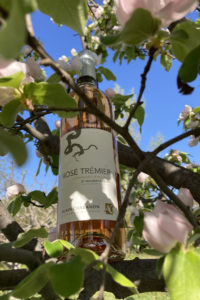 Rosé Trémier d'Alain Chabanon