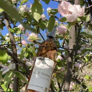 Rosé Trémier d'Alain Chabanon
