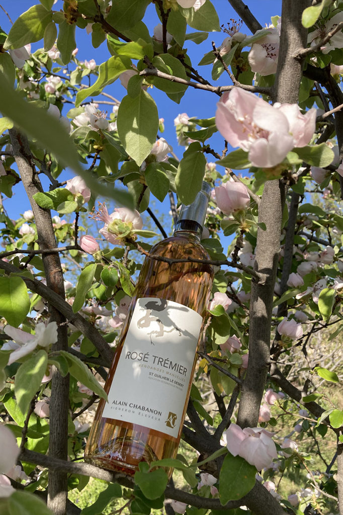 Rosé Trémier d'Alain Chabanon